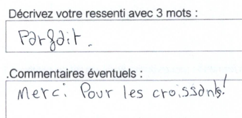 Capture d’écran 2026 08 01 073731